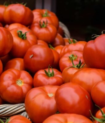 Pomodori d’Italia: le varietà dimenticate da riscoprire in tavola