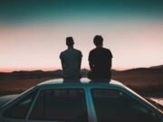 Quando i fratelli fanno i capricci: la gelosia dei babbuini rivela molto di noi