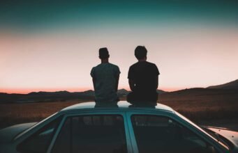 Quando i fratelli fanno i capricci: la gelosia dei babbuini rivela molto di noi No News la rivista dell'ozio e della serendipità, Ozio e serendipità