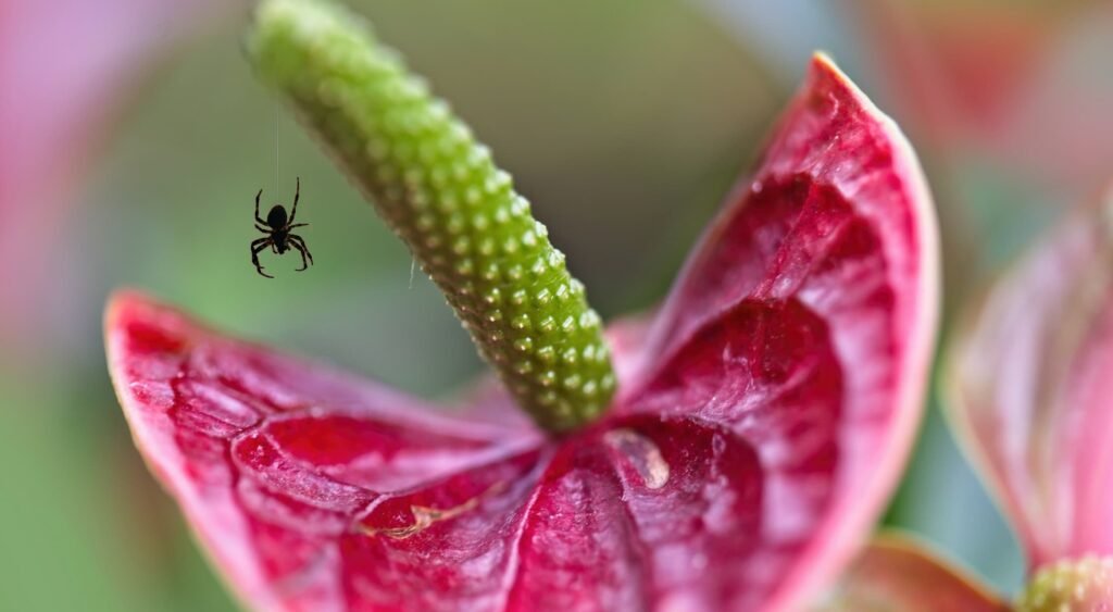 insetti, #1 italiano su 4 scappa urlando alla vista di un insetto infestante