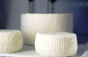 La ricotta marzotica