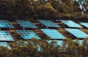 #Il governo pone fine al mercato tutelato ma è stata prorogata la chiusura