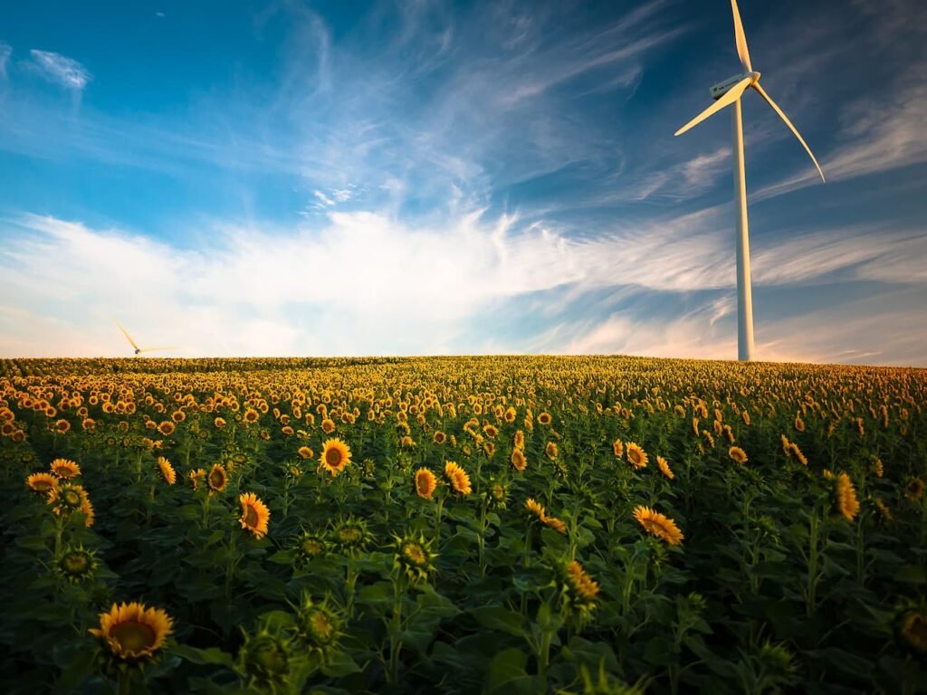 cambio operatore elettrico, #6 cose da sapere per cambiare fornitore di energia elettrica e gas