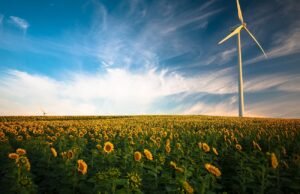 #6 cose da sapere per cambiare fornitore di energia elettrica e gas