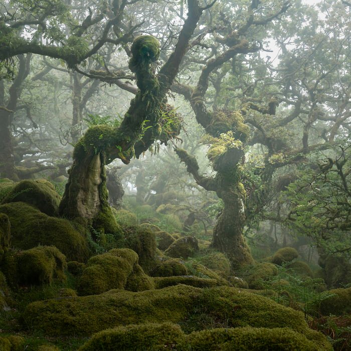 #Rivelate le ipnotiche immagini International Landscape Photographer Of The Year