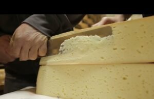 Puzzone di Moena: il formaggio a crosta lavata che racconta l’alpeggio trentino