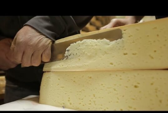 Puzzone di Moena: il formaggio a crosta lavata che racconta l’alpeggio trentino No#News la rivista dell'ozio e della serendipità, Ozio e serendipità
