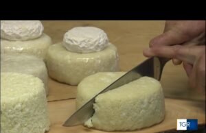 Graukäse, il formaggio grigio che canta: viaggio nell’anima casearia della Valle Aurina