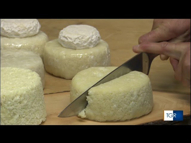 Graukäse Valle Aurina formaggio grigio tradizione altoatesina, Graukäse, il formaggio grigio che canta: viaggio nell’anima casearia della Valle Aurina