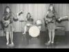 Le Shaggs: la band che non sapeva suonare e anticipò il punk No News la rivista dell'ozio e della serendipità, Ozio e serendipità