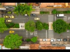 Medellín ha abbassato la temperatura di due gradi piantando una foresta dentro la città