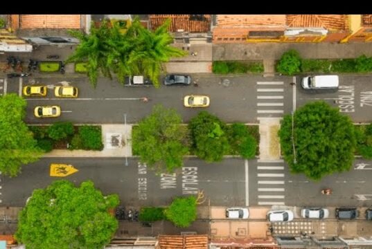 Medellín ha abbassato la temperatura di due gradi piantando una foresta dentro la città No News la rivista dell'ozio e della serendipità, Ozio e serendipità