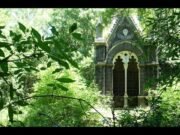 Il Bosco Monumentale del Sasseto