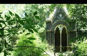 Il Bosco Monumentale del Sasseto