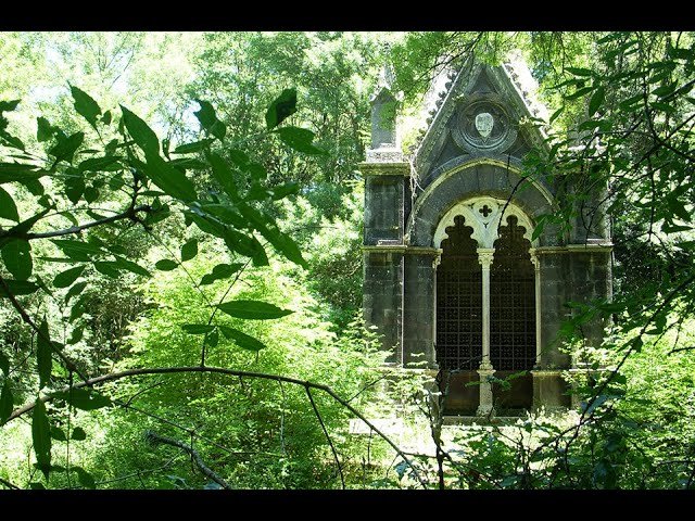 il bosco monumentale del sasseto da Nonewsmagazine.com il bosco monumentale del sasseto