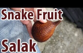 Salak, il frutto serpente dell’Indonesia No News la rivista dell'ozio e della serendipità, Ozio e serendipità