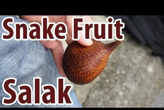 Salak, il frutto serpente dell’Indonesia No News la rivista dell'ozio e della serendipità, Ozio e serendipità