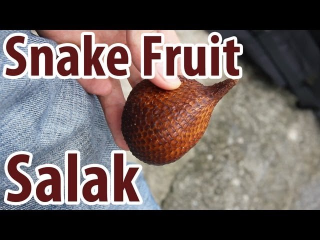salak il frutto serpente dell8217indonesia da Nonewsmagazine.com salak il frutto serpente dell8217indonesia
