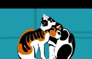 #Il randagismo dei gatti raccontato nel brano e video animato di “UGO”