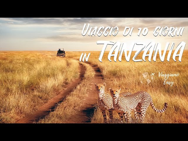 idee di viaggio cosa visitare in Tanzania, Tanzania: viaggio nell&#8217;anima selvaggia dell&#8217;Africa orientale