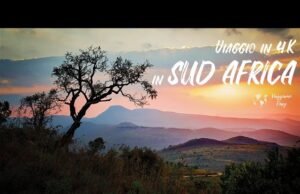 Sudafrica: alla scoperta della nazione arcobaleno tra safari indimenticabili e città cosmopolite