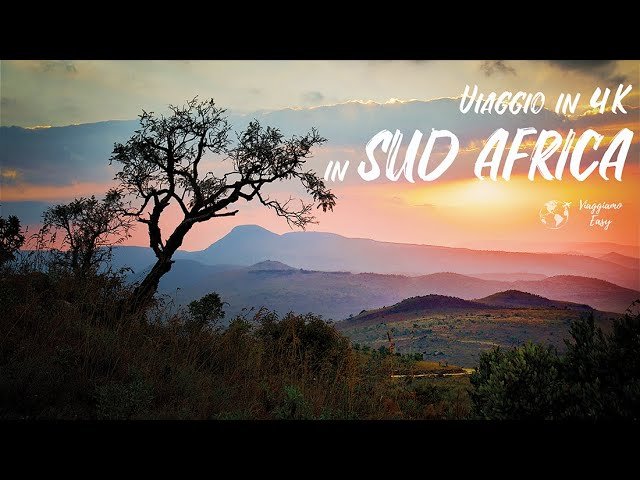 viaggio Sudafrica safari Kruger Città del Capo, Sudafrica: alla scoperta della nazione arcobaleno tra safari indimenticabili e città cosmopolite