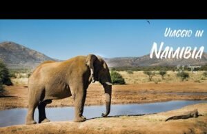 Namibia: dove il deserto incontra l’oceano