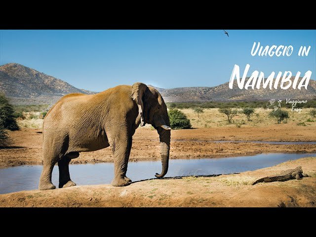 viaggio Namibia deserto Sossusvlei safari Etosha, Namibia: dove il deserto incontra l&#8217;oceano