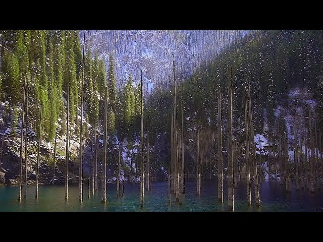 Lago Kaindy Kazakhstan foresta sommersa, Lago Kaindy: la foresta sommersa più spettacolare dell&#8217;Asia Centrale
