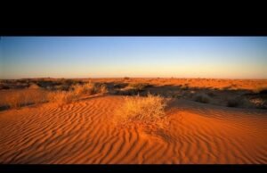 Simpson Desert: viaggio nell’infinito rosso dell’Australia centrale