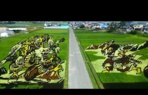 L’arte che cresce nella terra del sol levante