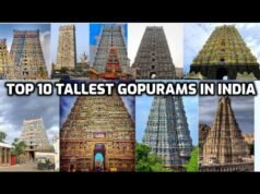 Guardiani di Pietra: i monumentali gopuram del Tamil Nadu