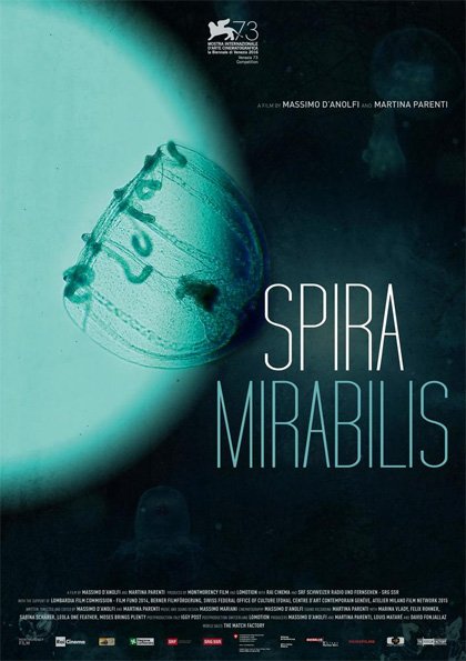 #Spira Mirabilis: poco più di un bel film, poco meno di un capolavoro