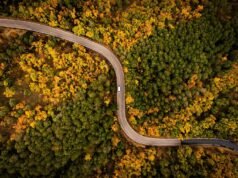 Le strade panoramiche più spettacolari del mondo: un viaggio attraverso i paesaggi più mozzafiato