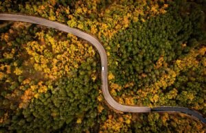 Montefeltro: borghi medievali e tradizioni millenarie