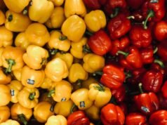 L’ultima follia social: lavare frutta e verdura in lavastoviglie