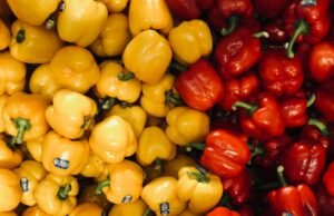 L’ultima follia social: lavare frutta e verdura in lavastoviglie