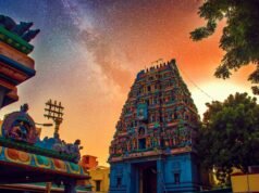 Tamil Nadu: Tesori millenari dell’India del Sud