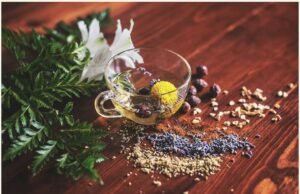 Il tesoro dei prati autunnali: alla scoperta delle erbe spontanee di stagione