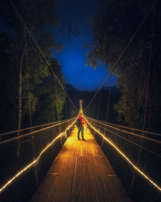 #Un ponte illuminato sospeso tra gli alberi in Indonesia