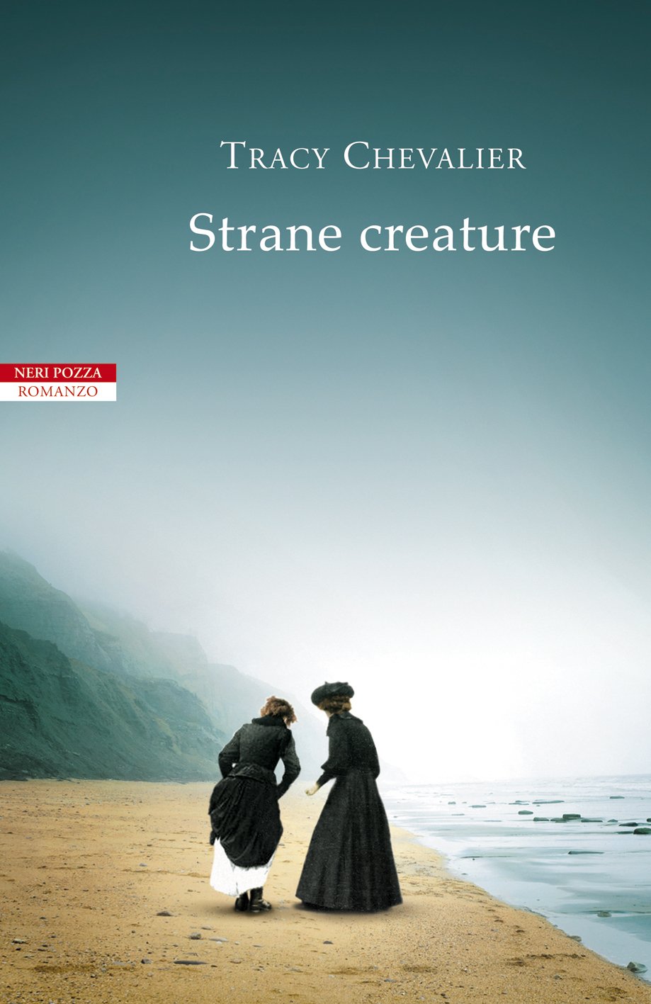 #Un sasso, a volte, può anche non essere solo un sasso ma un fossile, qualcosa che è stato vivo tanto tempo fa. #Un sasso, a volte, può anche non essere solo un sasso ma un fossile, qualcosa che è stato vivo tanto tempo fa.