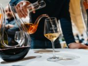 FuoriVinifera: oltre 100 produttori protagonisti tra vigneti e cantine del Trentino Fuorivinifera