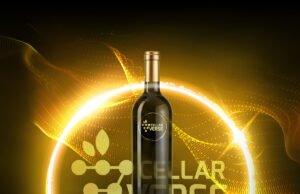 #Un regalo di Natale nel metaverso con CellarVerse