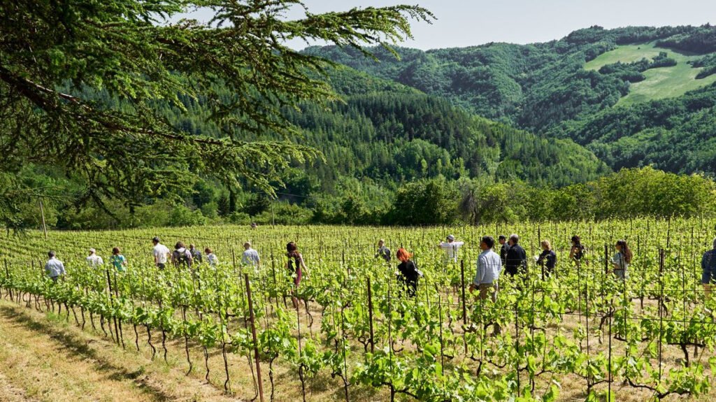 , #Vini ad Arte 2023: la Romagna in anteprima dal 28 al 30 maggio 2023