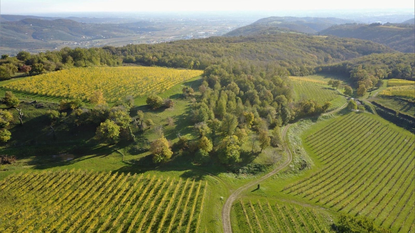 L’Amarone della Valpolicella Riserva 2012, l’anima di Brigaldara che risuona nel tempo