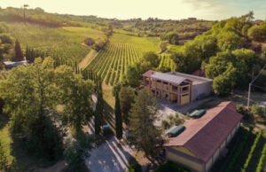 Valdipiatta e Monteverdi: un accordo che unisce enologia e ospitalità nel cuore della Toscana Monteverdi Tuscany