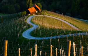 Slovenia romantica e sovrannaturale tra Carnevale e San Gregorio Slovenia