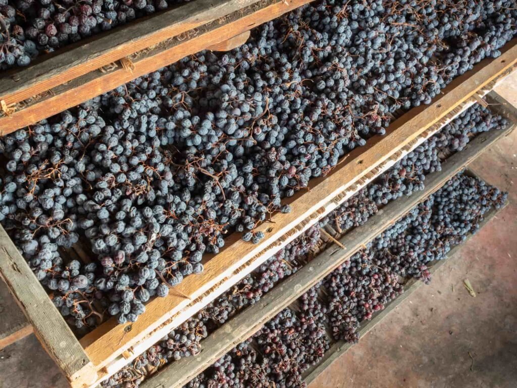 Recioto della Valpolicella Presidio Slow Food, Il Recioto rinasce: sette cantine veronesi per salvare il padre dell’Amarone