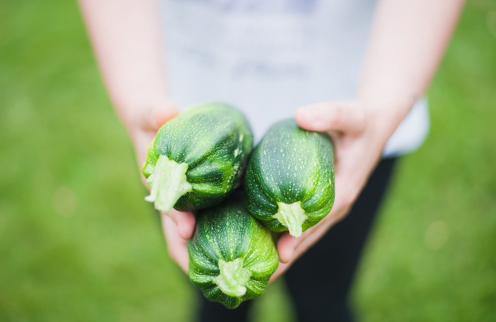 zucchine l8217estate nel piatto leggere versatili e con una storia nata a milano da Nonewsmagazine.com zucchine l8217estate nel piatto leggere versatili e con una storia nata a milano
