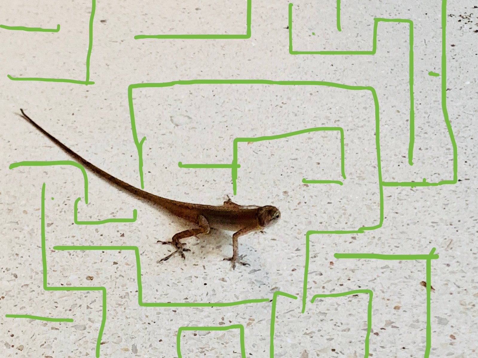 #VIAGGI DA CAMERA: un progetto online della Fondazione Nicola Trussardi #VIAGGI DA CAMERA: un progetto online della Fondazione Nicola Trussardi